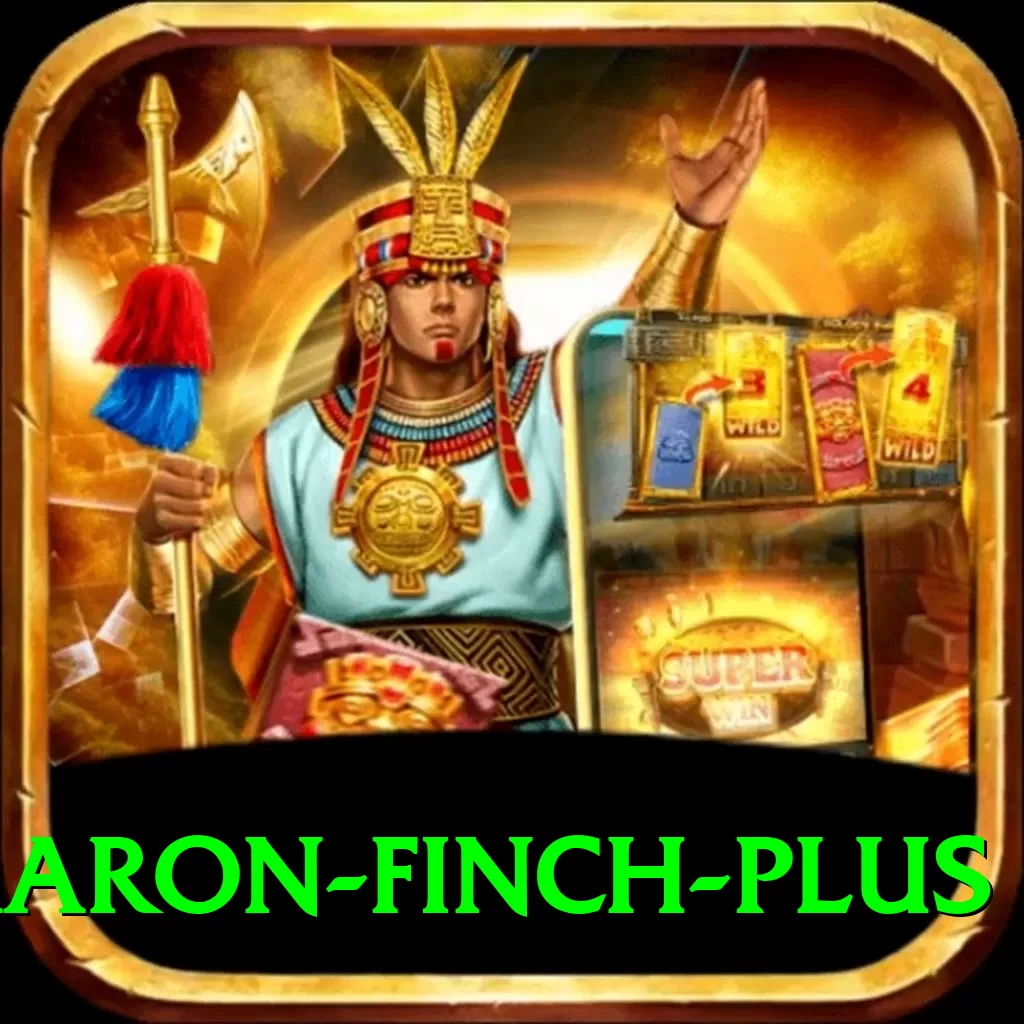 aaron finch Champion - Daily Bonus - 2