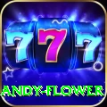 andy flower VIP Pro v5.3.0