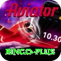 bingo Premium Plus v5.8.4