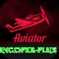 bingopkr Deluxe Edition v5.1.0