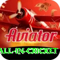fastest ball in cricket VIP Edition v4.7.2
