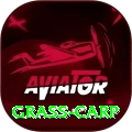 grass carp Plus v1.7.1