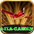 hile ilam tea garden Master v4.4.0