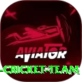 hong kong cricket team Plus v2.5.5