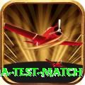 india test match Pro1 v1.3.8