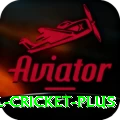 international cricket Jackpot Mega v2.7.2
