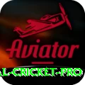 international cricket Slot Machine Max