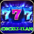 ireland cricket team Deluxe v3.7.0