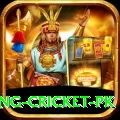 make money betting cricket pk Turbo v3.1.9