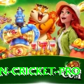 most centuries in cricket Royal APK v1.6.9