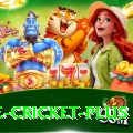 one cricket Casino Legend v2.2.8