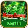 pak111 VIP vv1.0.5