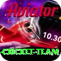 pakistan women cricket team VIP Pro v5.2.2