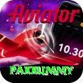 pakrummy Apps (Tools & Injectors) Master v4.6.5