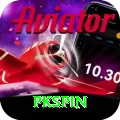pkspin Premium vv2.0.2