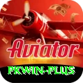 pkwin Max Pro vv5.2.5