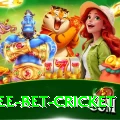 risk free bet cricket Pro v4.2.8