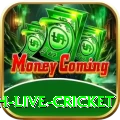watch live cricket Games (Casino & Earning) Master v1.2.8
