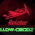 willow cricket Gold Edition v3.9.2