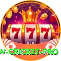 willow cricket - Real Money Elite