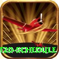 world cup t20 schedule Premium Plus v1.2.2