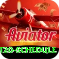 world t20 schedule Gold Edition v4.4.3